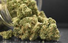 Арестуваха будистки монаси със 110 кг канабис на летище в Шри Ланка