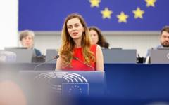 Рада Лайкова: Иска ли ЕС да ни предаде уменията и по лошо инвестиране?