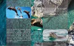 АТА: Морският парк "Карабурун-Сазан" е дом на 36 вида с международно значение за опазването на природата