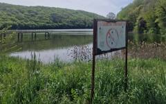 17 дни издирват Кремена от Разград, търсят я и водолази в язовир Пчелина