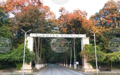 В Козлодуй обединяват празника "Шумът на реката" и олимпиадата "Активни днес"