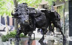 БФБ и еврото - потенциал за допълнителен растеж