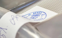 ГЕРБ и ПП-ДБ щурмуват преференциите, ДПС не се вълнува