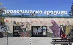 Бой пред Софийския зоопарк, жена пазила паркомясто с тялото си