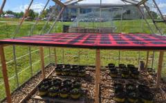 Оранжериите могат да се електрифицират с полупрозрачни фотоволтаици и термопомпи