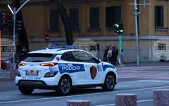 Над 1200 полицейски служители са ангажирани за мирното протичане на антиправителствен протест в Тирана довечера