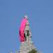 Защо колоездачите на Джиро д'Италия носят розово? Историята зад Maglia Rosa
