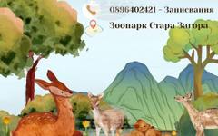 Лятно зооучилище за деца организира старозагорският зоопарк