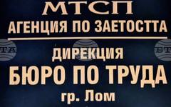 Бюрото по труда в Пловдив обяви 375 свободни работни места, от тях 46 са за висшисти