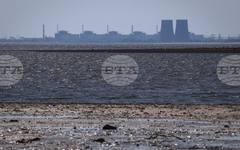 Запорожката АЕЦ е загубила за кратко време миналата седмица външното си захранване