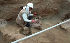 Русия съобщи, че руският археолог Александър Бутягин, задържан за неразрешени разкопки в Крим, е бил освободен от Полша