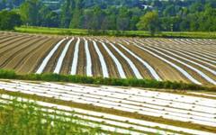 "Адванс Терафонд" увеличава продажбите на имоти през първото тримесечие