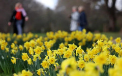 Слънцето ни съблича, вятърът вдига полите. По Черноморието става за мохито