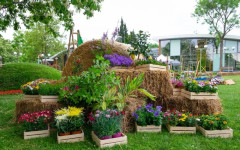 Нещо много интересно предстои на изложбата "Флора" 2026 в Бургас