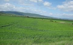 Разкриха истината за рентата и данъците