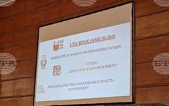 Винопроизводството е един от стратегическите сектори на Пловдив като регион, каза областният управител