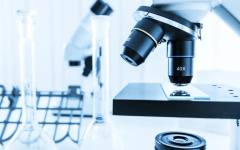 "Зомби червей" беше размразен след 24 000 години и започна да се размножава