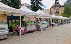 Около 40 производители на автентични млечни продукти участват във втория фестивал "От пиле мляко" във Враца