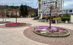 В Златоград осигуряват достъпна среда в Центъра за социална рехабилитация и интеграция по проект