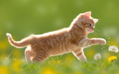 Слънце и до 20 градуса в понеделник: Очаква се обрат във времето