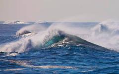 Океанът спря да диша: За първи път от 40 години в Панамския залив изчезна сезонният ъпуелинг