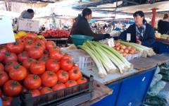 Шефът на тържищата каза защо са такива цените на доматите