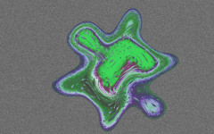 Това едноклетъчно топче доказва, че не е нужен мозък, за да се научават неща