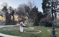 Столична община започна второ обработване на зелените площи срещу кърлежи, комари и бълхи