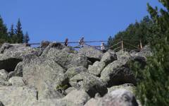 Юлиан Попов оттегли новия план за Витоша