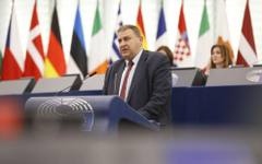 Емил Радев за отговора на прокуратурата по случая с прегазеното куче Мая: Обвиняем има, но разследването продължава