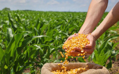 Как Китай и €6 милиарда инвестиции могат да променят облика на региона около Байконур