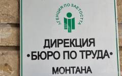 В Бюрото по труда в Монтана са обявени 19 работни места за висококвалифицирани специалисти