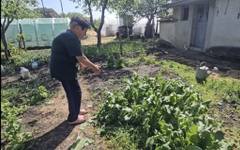 Градушка с големина на орех удари сливенското село Жельо войвода