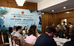 От Рупите до Виетнам – ето как Петрич привлича международен интерес