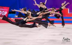 Търновски клуб набира средства за участие на Световното по естетическа гимнастика