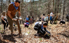 "Синята гора" на ОББ расте вече и в Плана планина