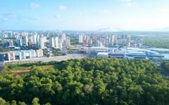 Как градовете се адаптират към екстремните климатични явления