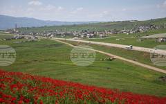 Сирийското правителство потвърди ареста на германската журналистка