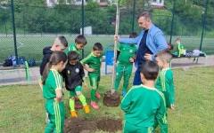 Община Девин организира залесяване с участието на млади спортисти