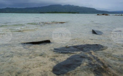 Гърция и Либия ще започнат разговори за определяне на шелфа и изключителните икономически зони в Средиземно море