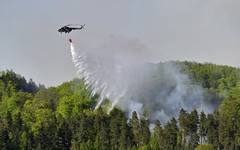Огнена стихия: Над 100 хектара са изпепелени при горски пожар в Чехия