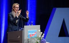 "Мечката ще отвърне на удара": Лидерът на AfD критикува Украйна за атаките в Русия. Буданов каза: Не виждам подготовка за ядрен удар