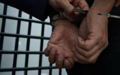 Задържаха трима крадци от Видинско
