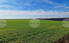 Благоприятни условия за посевите в цяла Европа при зараждащ се недостиг на вода отчита бюлетин на ЕК за април