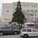 Повече от 35 души са потърсили помощ от началото на месеца в Университетската болница "Медика" в Русе след ухапване от кърлеж