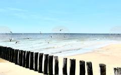 Белгийците ще почиват основно в Европа това лято, сочи проучване