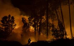 Нетипични за сезона ранни горски пожари обхванаха Австрия