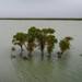 Автобус падна в река в Китай, издирват 9 души във водите