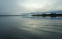 Амазонка е втората най-дълга река в света, но на нея няма нито един мост и това е причината