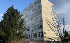 Случай на кампилобактериоза регистрираха във Великотърновско